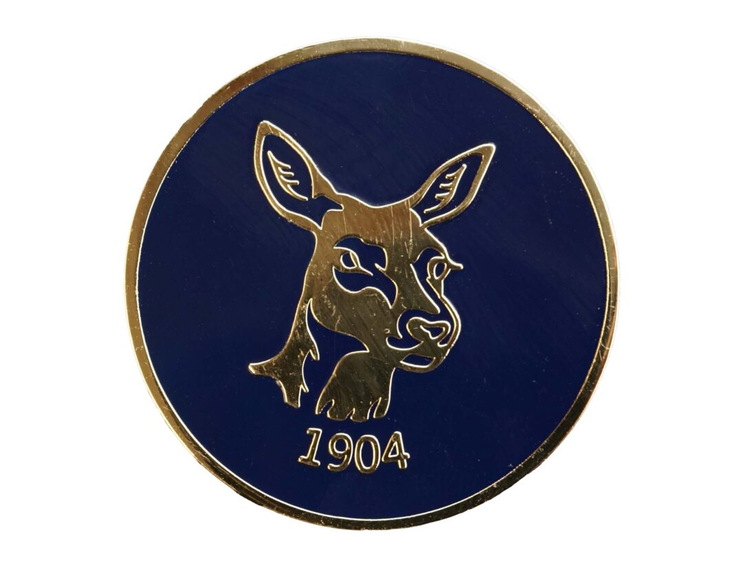 Chevron + 2 Marker Coin 25mm Enamel IHE - Image 5